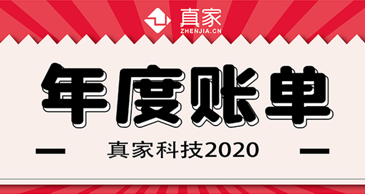 【真家科技】2020年度账单